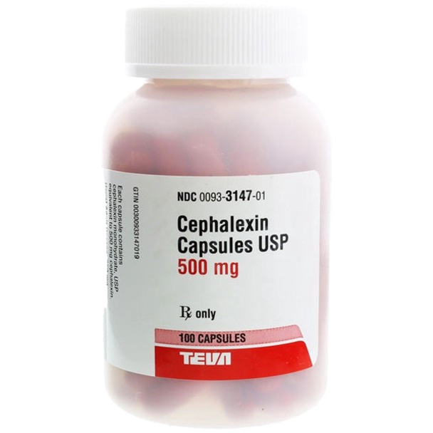 Cephalexin
