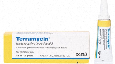 terramycin